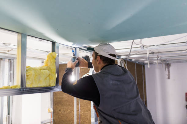 Best Blown-in Insulation in Odenville, AL