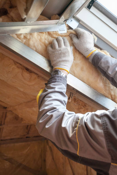 Best Eco-Friendly Insulation in Odenville, AL