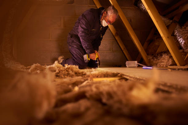Best Specialized Insulation Services in Odenville, AL